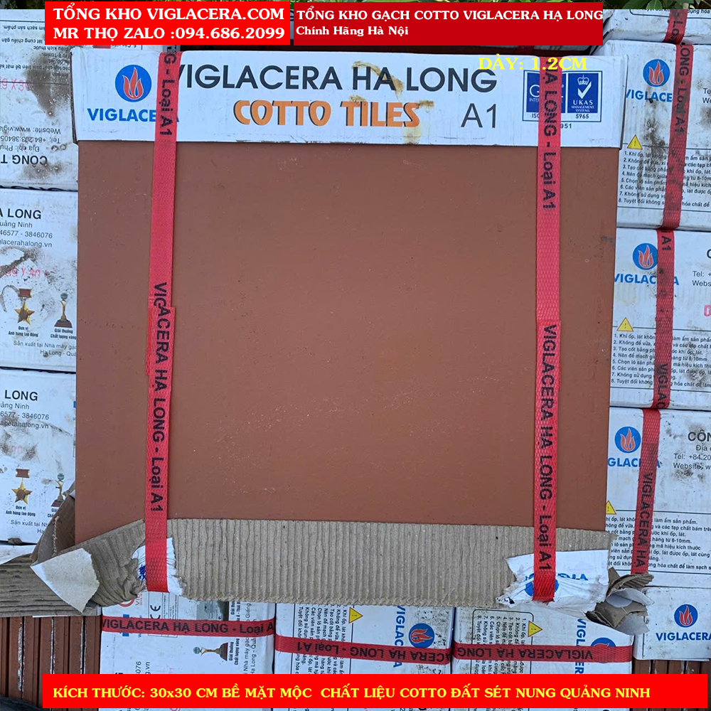 Gạch COTTO GIẾNG ĐÁY 300X300 VIGLACERA HẠ LONG ĐỎ NHẠT MỘC A1